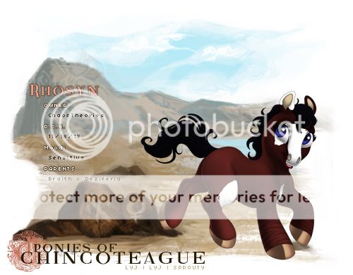 User Image
